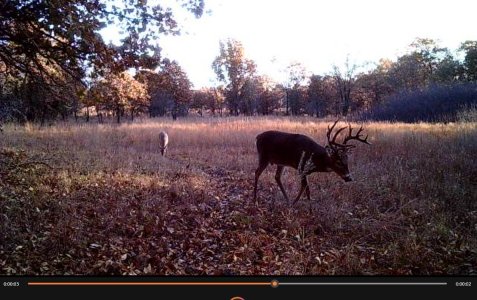 Screenshot 2026-01-20 140615.jpg