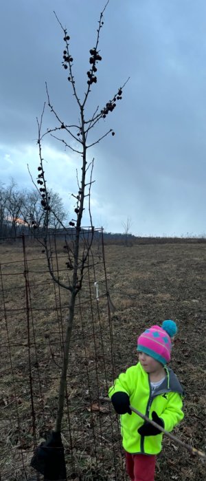 IMG_1947.jpeg IMG_1947.jpeg