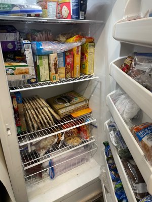 IMG_1128.jpeg IMG_1128.jpeg