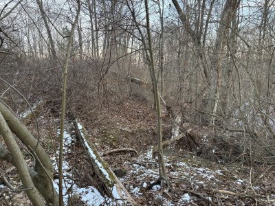 IMG_2705.jpeg IMG_2705.jpeg