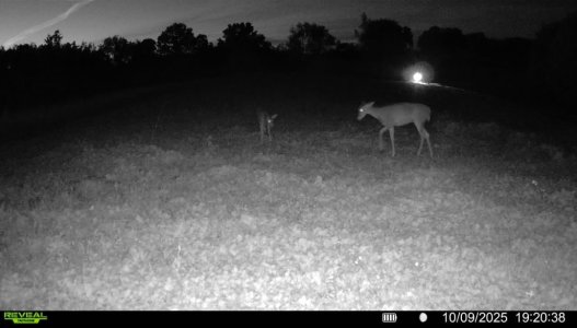 IMG_20260125_110829.jpg IMG_20260125_110829.jpg