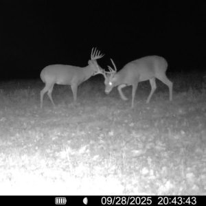 1770398488256.jpeg 1770398488256.jpeg