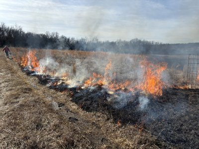 prescribed fire 13.jpg
