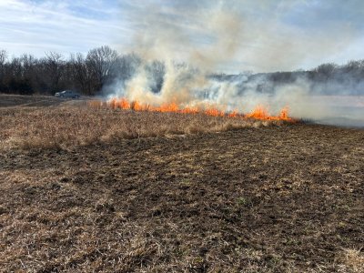 prescribed fire 11.jpg