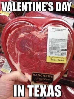 65-Funny-Valentines-Day-Memes-6512-10-3541781799.jpg