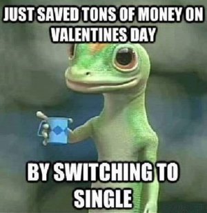 being-lonely-valentine-days-meme-Funny-Valentine-Memes-To-Good-Laugh-For-Sarcastic-Valentines-...jpg