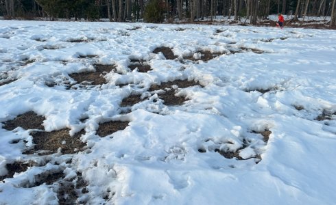 IMG_2039.jpeg IMG_2039.jpeg