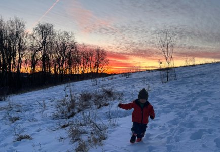 IMG_2040.jpeg IMG_2040.jpeg