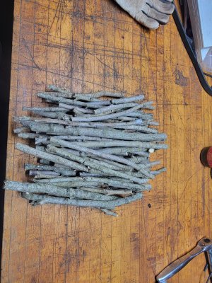 20260213_213146.jpg 20260213_213146.jpg