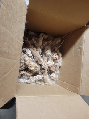 20260213_195509.jpg 20260213_195509.jpg