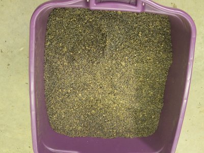 20260213_181512.jpg 20260213_181512.jpg