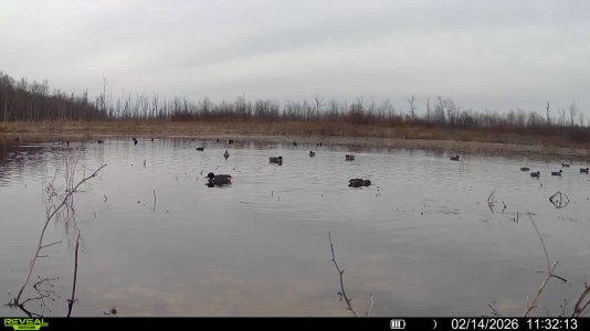 016579001262125-50-3-02142026113213-SYFW00023.jpeg 016579001262125-50-3-02142026113213-SYFW00023.jpeg