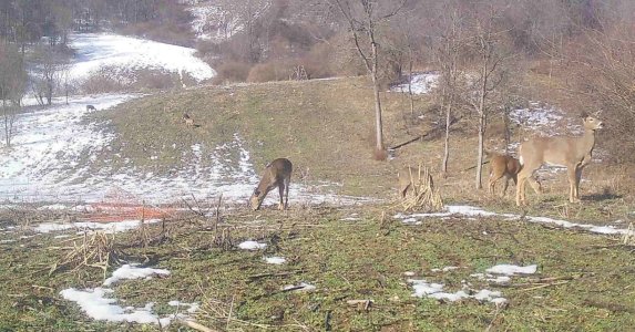 E972D341-9006-42DC-B2E2-0CCA45F5B1B7.jpeg E972D341-9006-42DC-B2E2-0CCA45F5B1B7.jpeg