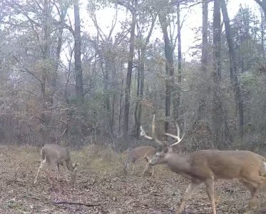 IMG_6363.jpeg IMG_6363.jpeg