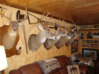 4x8h60y.jpg 4x8h60y.jpg