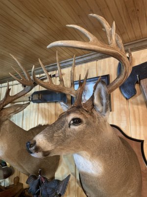 IMG_6171.jpeg IMG_6171.jpeg