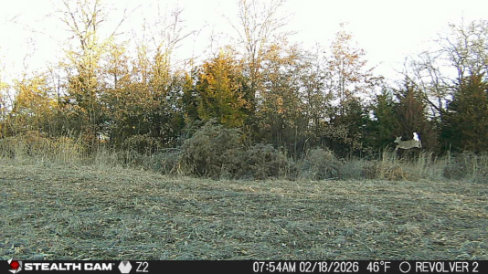 1771502065145.png 1771502065145.png