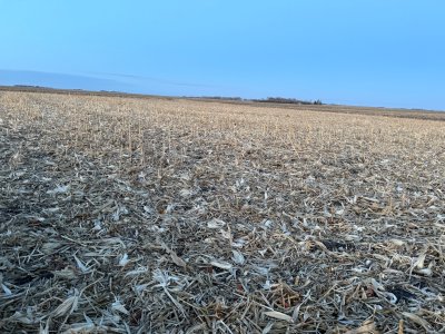 IMG_9811.jpeg IMG_9811.jpeg