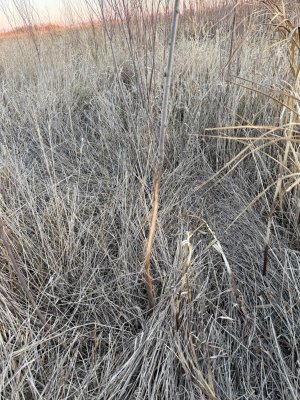 IMG_9807.jpeg IMG_9807.jpeg