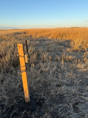 IMG_9804.jpeg IMG_9804.jpeg