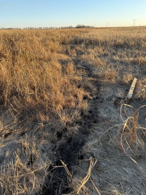 IMG_9802.jpeg IMG_9802.jpeg