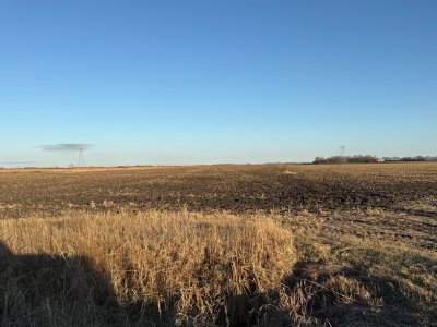 IMG_9801.jpeg IMG_9801.jpeg