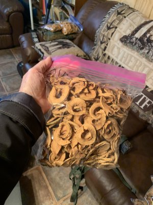 IMG_6184.jpeg IMG_6184.jpeg