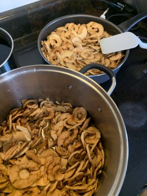 IMG_6180.jpeg IMG_6180.jpeg