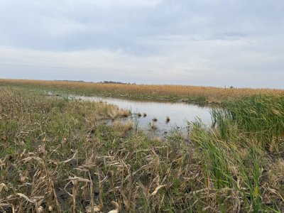 IMG_9318.jpeg IMG_9318.jpeg