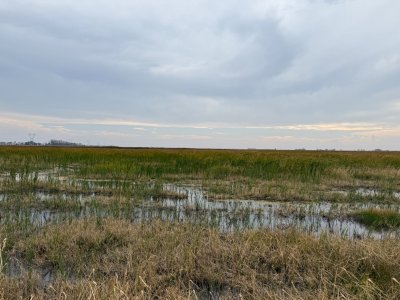 IMG_9311.jpeg IMG_9311.jpeg