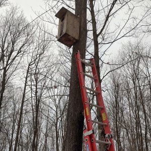 IMG_2314.jpeg IMG_2314.jpeg