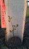 20160521_202700.jpg