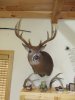 IMG_1387.JPG
