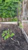 20160615_085334.jpg