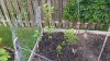 20160615_085340.jpg