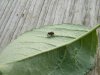 DSCN3210.JPG