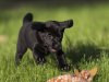 _DSC0168_1.jpg