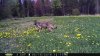 2016-5-24 Facing Road.JPG