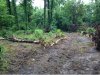 timber 3.jpg timber 3.jpg