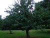 DSCN3229.JPG