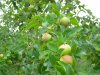 DSCN3245.JPG