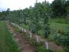 DSCN3256.JPG