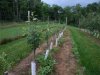 DSCN3255.JPG
