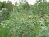 DSCN3234.JPG