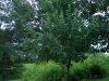 DSCN3230.JPG