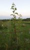 20160710_205913.jpg