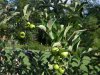 DSCN3295.JPG