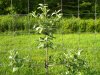 DSCN3290.JPG