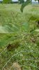 20160720_113719.jpg