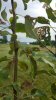 20160720_113714.jpg